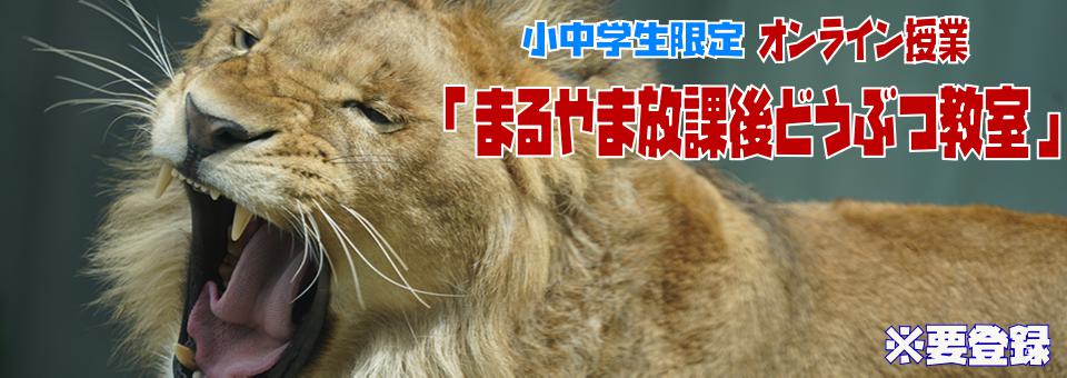 小中学生限定オンライン授業 まるやま放課後どうぶつ教室