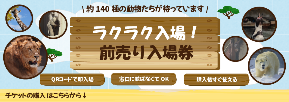 ラクラク入場！前売り入場券