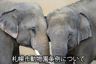 動物園の役割と取り組み